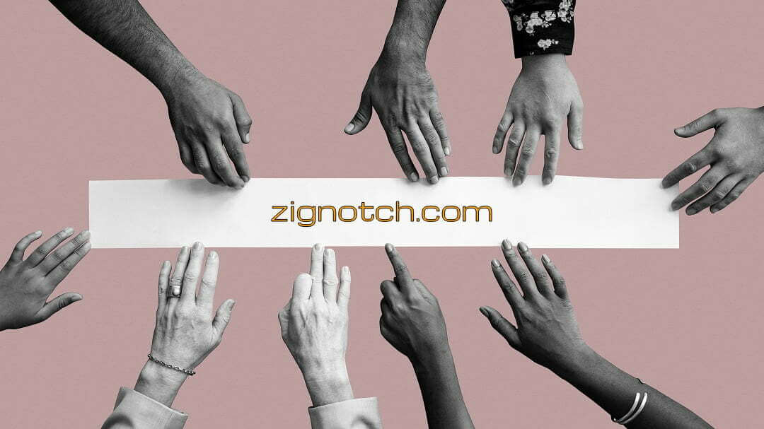 about zignotch big picture